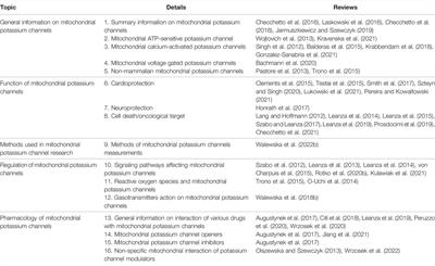 Current Challenges of Mitochondrial Potassium Channel Research